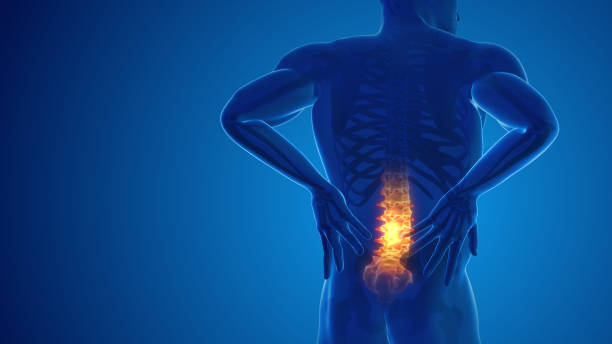 istock Pain in the back joint 3D illustration 1432161043