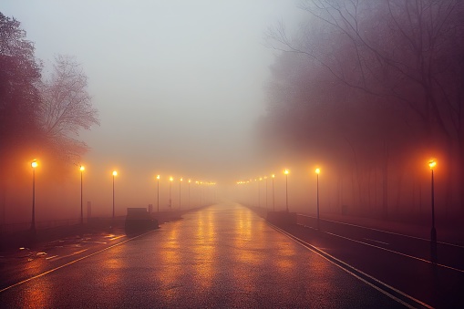 A wet illuminated street on a foggy autumn evening