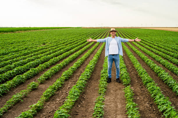 istock Farmer with arms outstretched  in his growing  soybean  field 1432168676