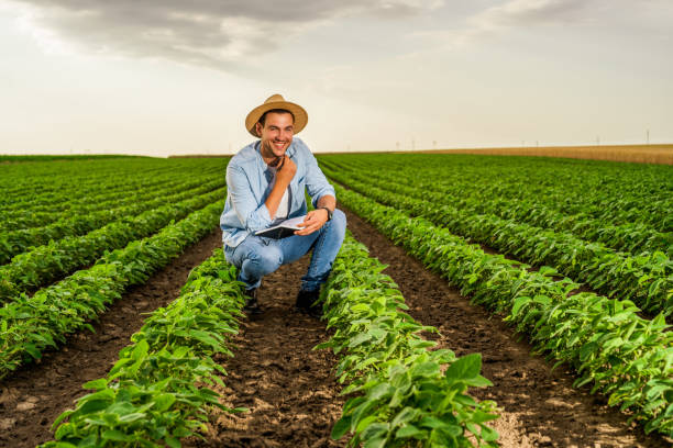 istock Happy farmer in his growing  soybean field 1432168877
