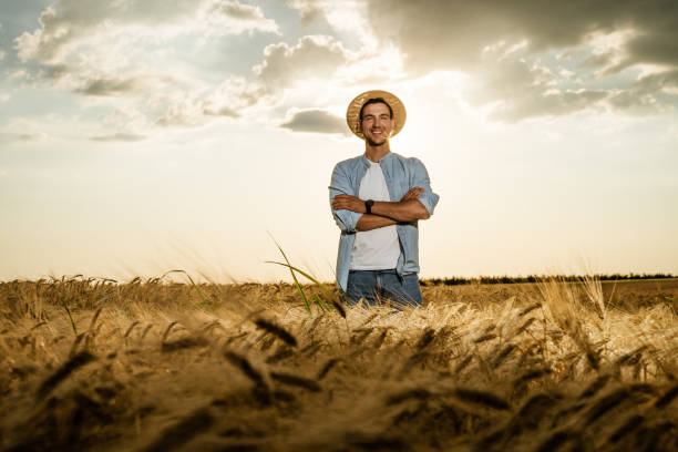 agriculteur debout dans son champ d’orge en pleine croissance - summer cereal plant sunlight sun photos et images de collection