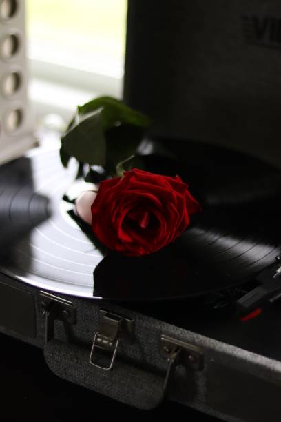 istock Vertical of a red rose on a vinyl record. 1432179270