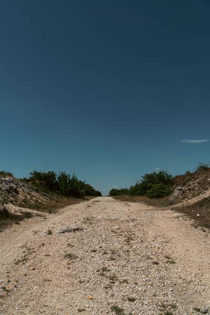 istock Vertical shot of a gravel trail surrounded by greenery under sunlight 1432181385