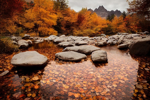 A scenic shot of round rocks in the middle of an autumn forest surrounded by orange leaves