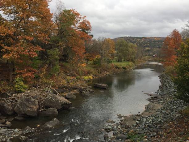 istock Small river between colorful trees of autumn 1432185554