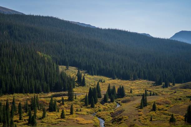 istock Small water canal in green valley with hills covered with trees 1432185606
