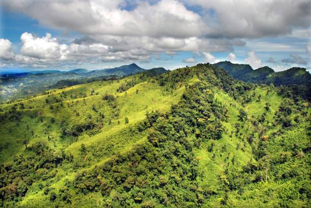 istock Bird's eye view of mountains covered with green forests under a cloudy sky 1432185983
