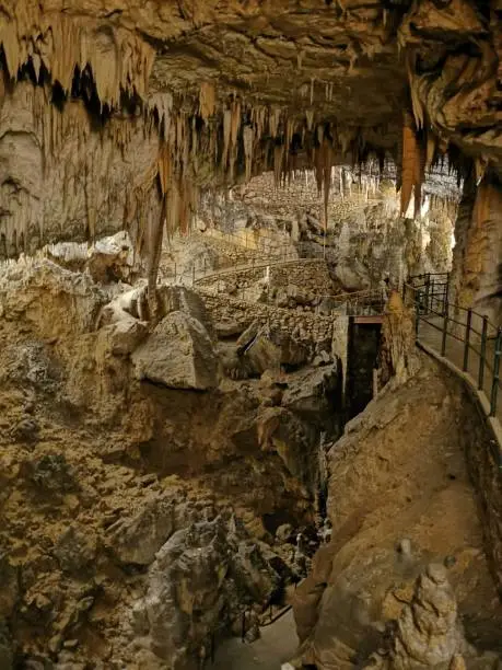 Photo of Postojna cave - Queen of the underworld, A World-Famous Natural Marvel