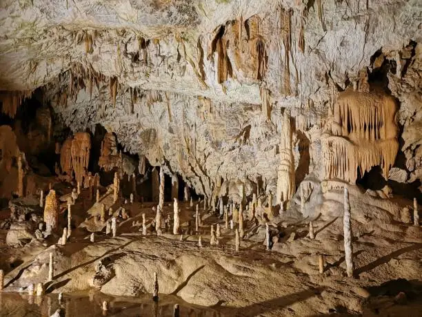 Photo of Postojna cave - Queen of the underworld, A World-Famous Natural Marvel