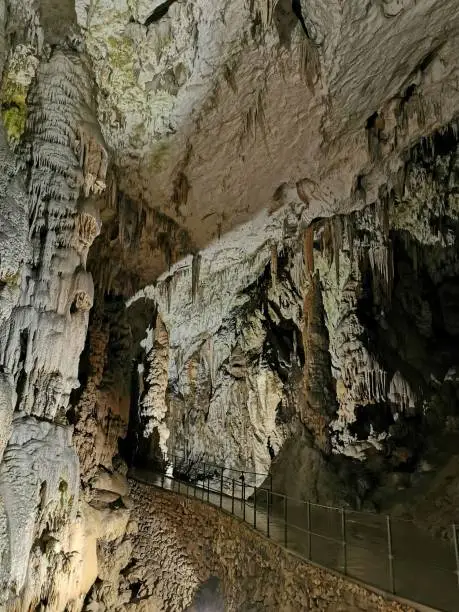 Photo of Postojna cave - Queen of the underworld, A World-Famous Natural Marvel