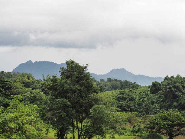 istock Mountains, green leaves and silvery sky, gray-white light clouds. 1432187482