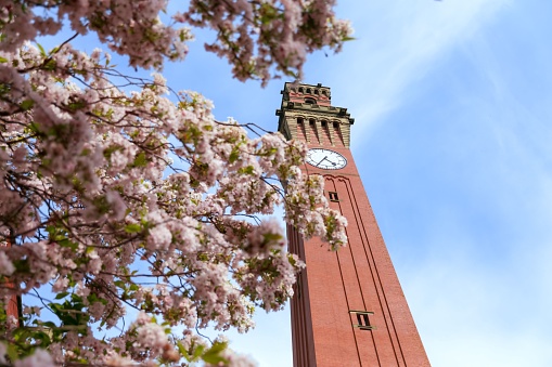 A below view of the Joseph Chamberlain memorial clock tower in Birmingham University, United Kingdom