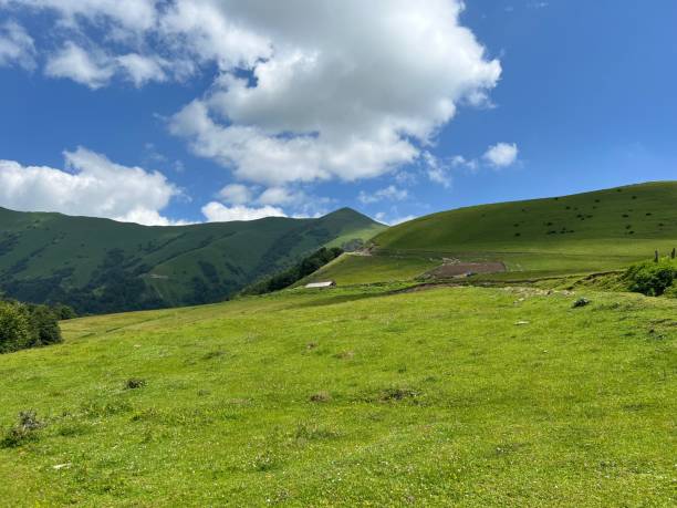 istock Wide green field with a cloudy sky 1432189648