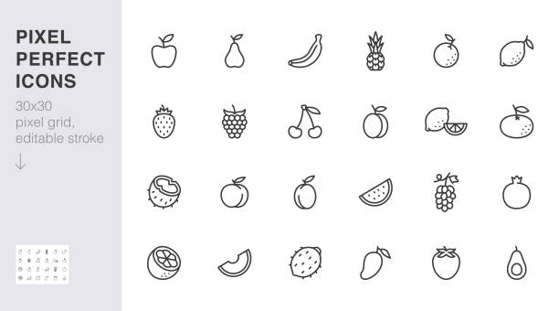 illustrations, cliparts, dessins animés et icônes de jeu d’icônes de ligne de fruits. noix de coco, pêche, ananas, melon, grenade, mangue, citron vert, mandarine illustration vectorielle minimale. signe de contour simple pour une alimentation saine. 30x30 pixel parfait, trait modifiable - georgia peach