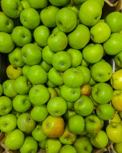 istock Fruits in a street market. 1432190783