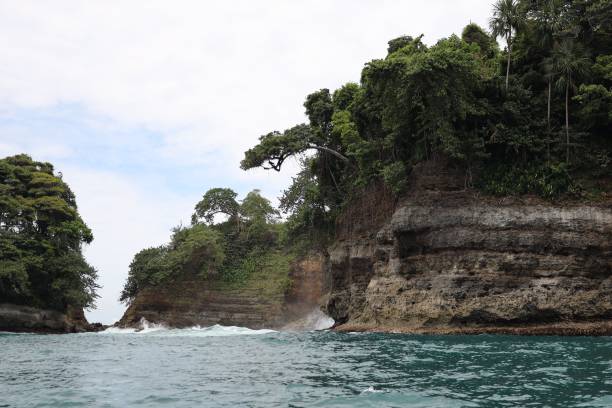 istock Landscape of sea cliffs surrounded by forest 1432191463