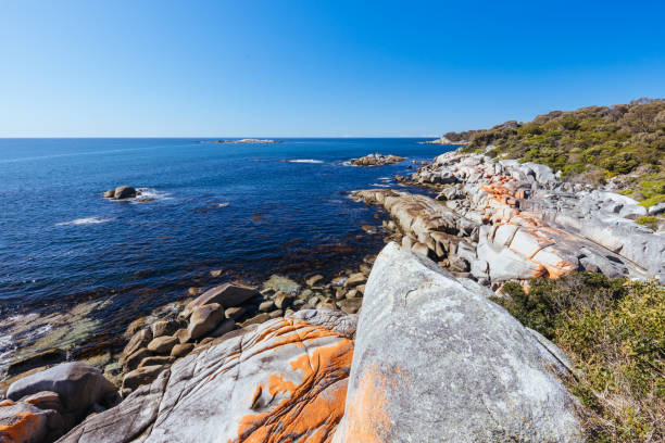 istock Skeleton Bay Walk in Tasmania Australia 1432192993