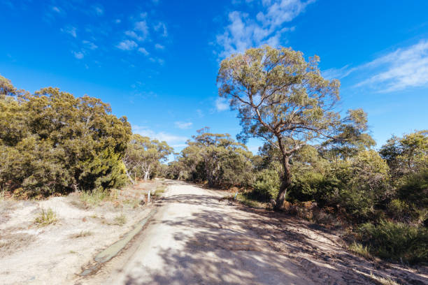 istock Skeleton Bay Walk in Tasmania Australia 1432193001