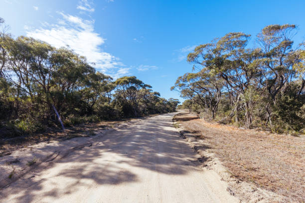 istock Skeleton Bay Walk in Tasmania Australia 1432193009