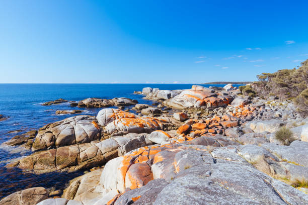 istock Skeleton Bay Walk in Tasmania Australia 1432193216