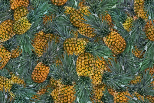 A background of many pineapples