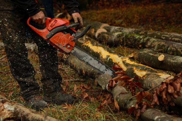 istock Closeup of a man cutting logs using a red chainsaw 1432195530