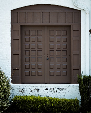 A frontal view of a brown modern door on a white wall and bushes in the foreground