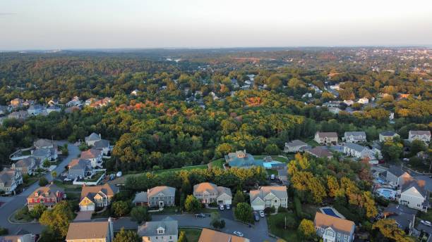 istock Residential area with many trees during an autumn day shot from above 1432201799