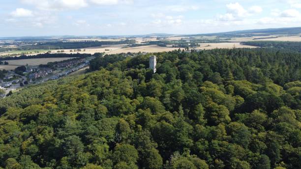 istock Drone view of green forest and hills during a sunny day 1432203641