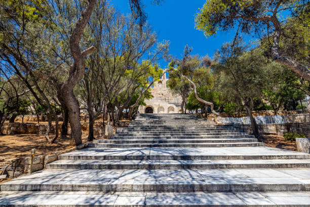푸른 하늘을 배경으로 나무 속에서 헤로데스 다락방 극장으로 이어지는 계단 - herodes atticus 뉴스 사진 이미지