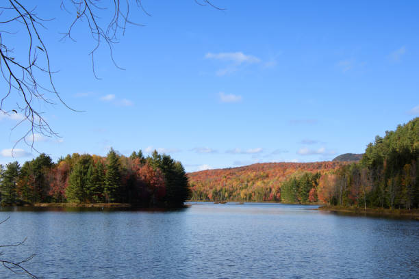 istock autumn landscapes near a lake 1432204548