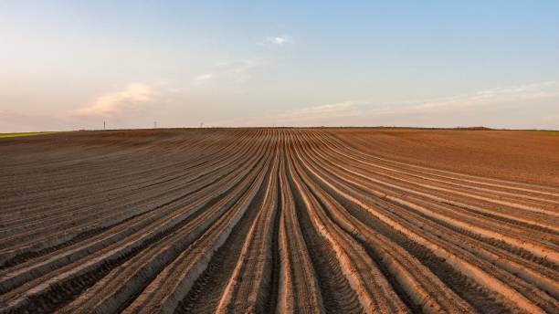 istock Beautiful landscape of an arable land. 1432205046