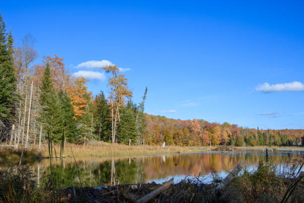 istock autumn landscapes near a lake 1432205182