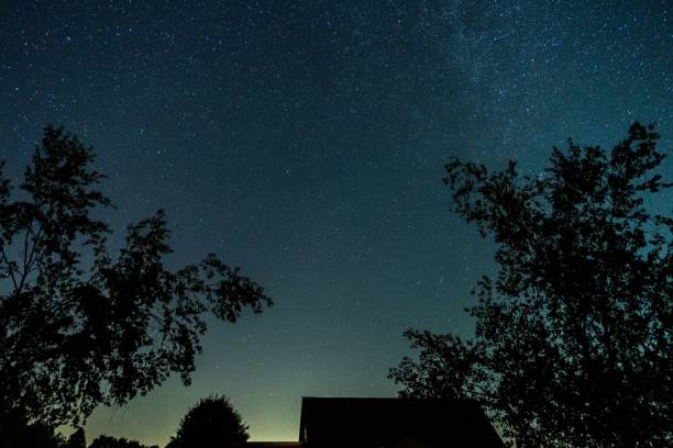 istock Silhouette of tree branches against a beautiful starry night 1432205800