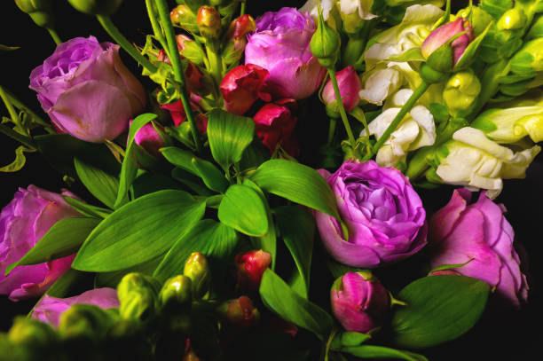 istock Fresh mixed flower bouquet on black background. Green branches with rich peony roses. Dark floral background 1432219456