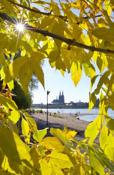 Rhine bank Cologne