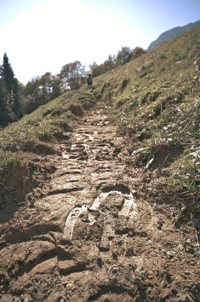 Horse passage marks on trail with classic horseshoe print