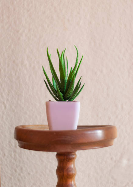istock Green decorative artificial plant with white pot with white background in vertical 1432226622