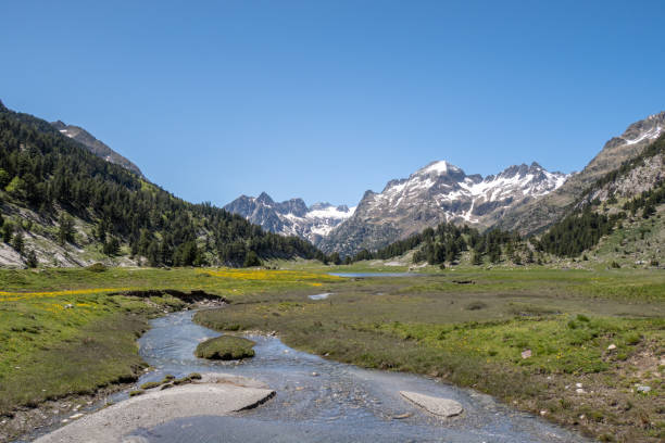 Meadows and snow-capped mountains