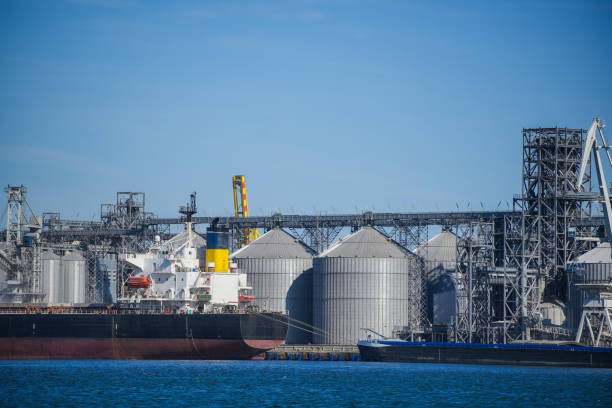istock Cereal warehouse in a port 1432229273