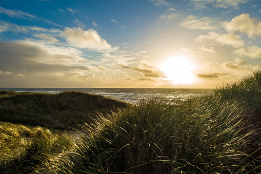 view through the dunes to the North Sea beach in sunset
