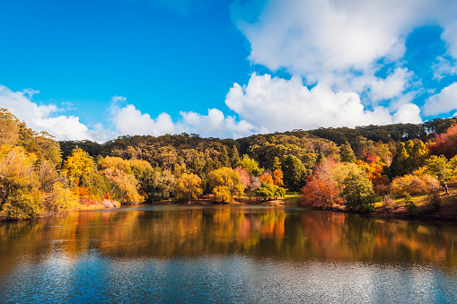 Flowing river amidst Autumn colours