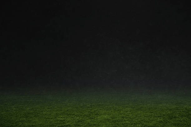 istock Soccer stadium field, soccer background 1432236731