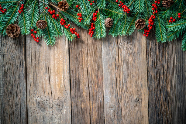 istock Christmas background of fir tree and holly berries on rustic wood copy space 1432242538