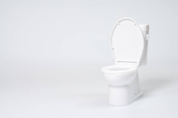 istock A model of a toilet on a white background. 1432244059