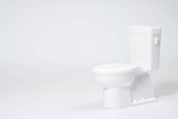 A model of a toilet on a white background. A model of a toilet on a white background. japanese toilet stock pictures, royalty-free photos & images