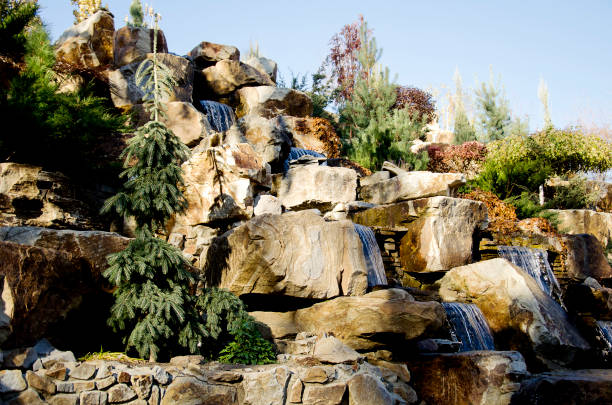 istock Christmas tree in the park. Natural landscape 1432246973