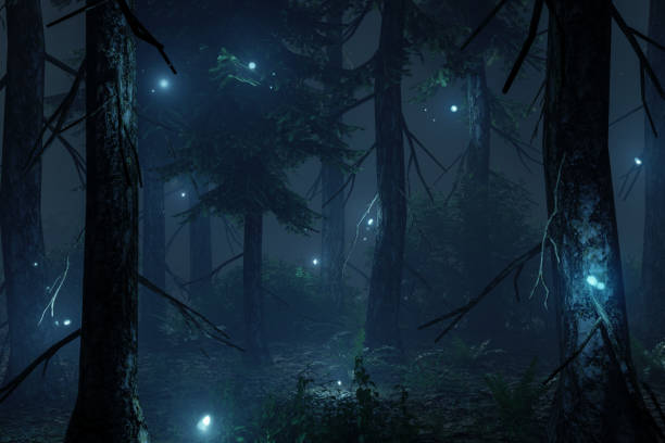 istock 3D rendering of dark forest with glowing blue particles 1432251213