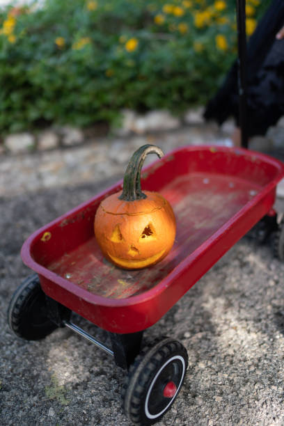 istock Small carved pumpkin, with smiling face 1432254631
