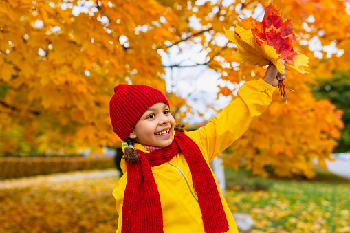 A girl with a wide smile in a red hat and scarf walks through the autumn park and plays with red and yellow leaves.